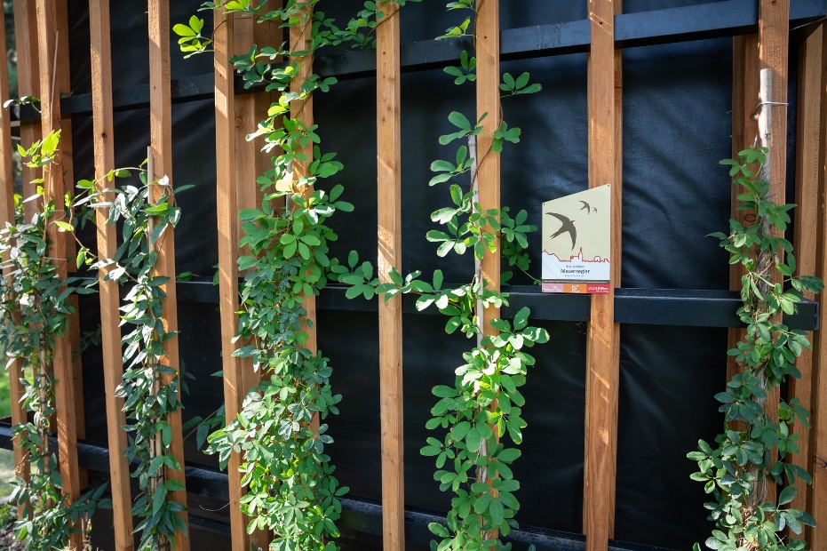 Abbildung: Eine neue Begrünung für die Sport & Fun Halle Leopoldstadt. © David Bohmann