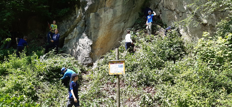 Abbildung: Freiwillige bei der Pflege des Naturjuwels Mukental. © Josef Mikocki