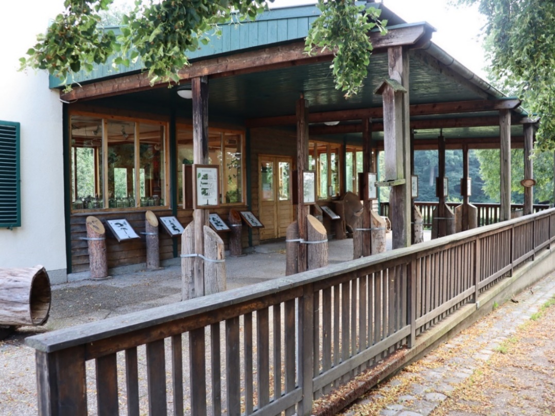 Abbildung: Waldschule Ottakring. © Stadt Wien – Klima, Forst- und  Landwirtschaftsbetrieb