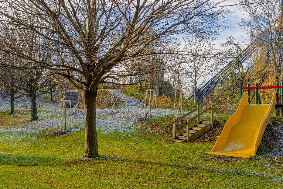 Abbildung: Jungbäume in einem Wiener Bad © Stadt Wien – Wiener Bäder