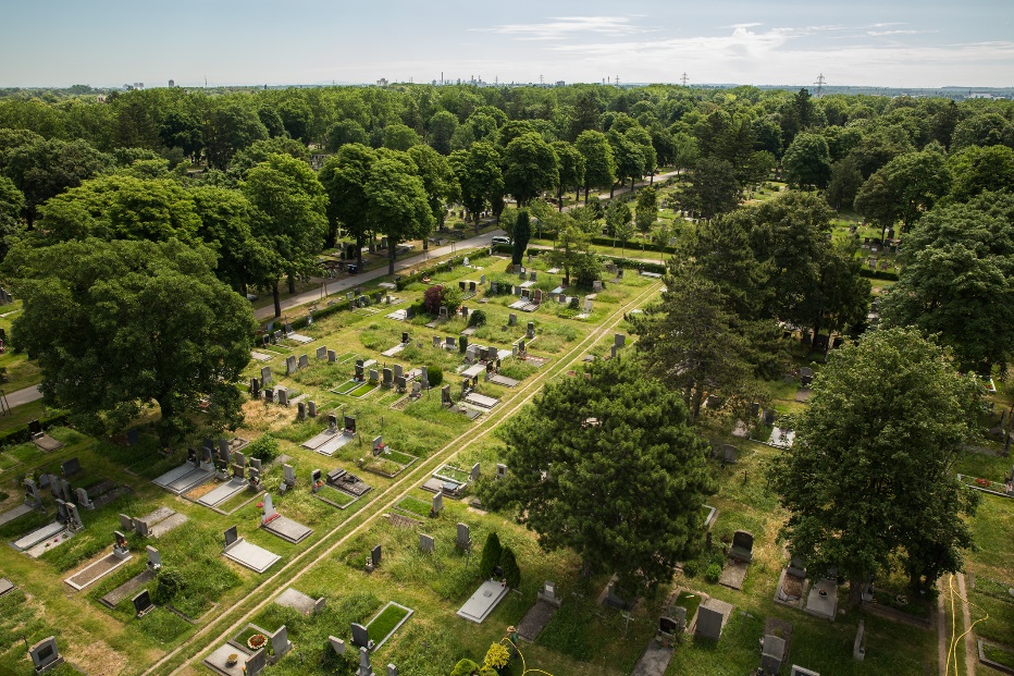 Abbildung: Friedhöfe bieten mit Grünflächen Abkühlung. © Harald Lachner