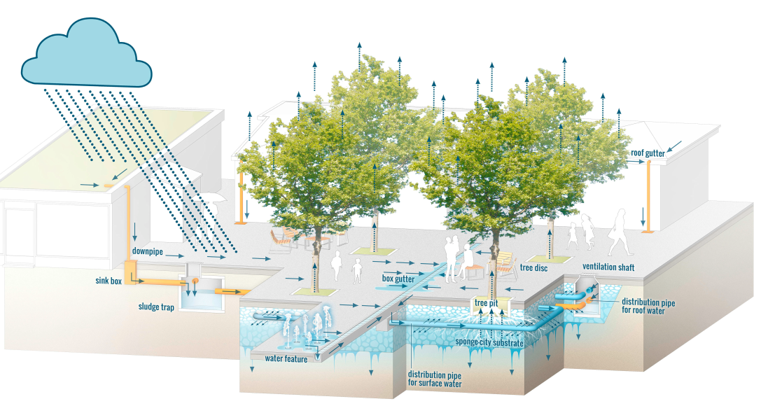 Abbildung: Darstellung des Prinzips der Schwammstadt. © Wiener Stadtgärten, Grimm