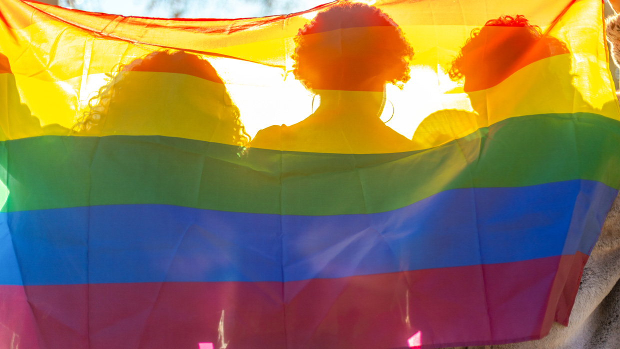 Kapitelbild: Das Foto zeigt Silhouetten mehrerer Personen hinter einer Regenbogen-Flagge © istockphoto