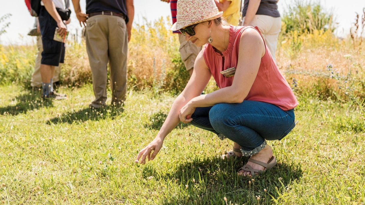 Kapitelbild: Sommerlich gekleidete Frau hockt auf Wiese und berührt mit der rechten Hand eine Pflanze. Im Hintergrund mehrere im Kreis stehende Personen. 
@ Matthias Nemmert