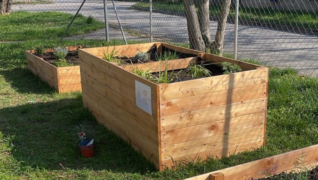 Three new, freshly planted raised beds on a green lawn, with the tallest one in the centre taking centre stage.