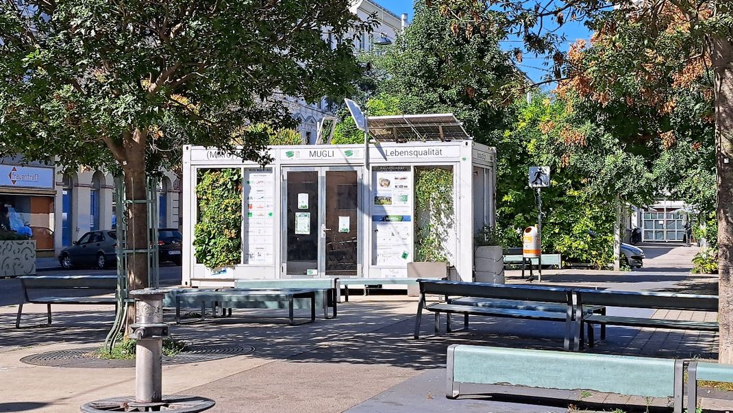 A photo of a white information container, part of which has green cladding, situated in a square with trees and benches in the foreground.
