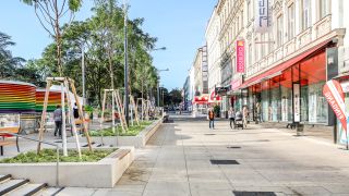 Fußgängerzone mit jungen Bäumen