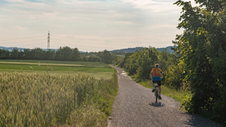 Ein Fahrradfahrer fährt durch die Landschaft.