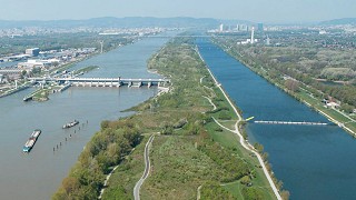 Luftbild: Donauinsel in Richtung Kahlenberg