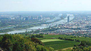 Blick vom Kahlenberg in Richtung Donau; im Vordergrund Weinberge, im Hintergrund Millenium Tower, Donau-City, Donauinsel und die Stadt Wien