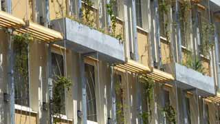 Seitenansicht auf Fassadendetail; Gestaltung der Putzfassade durch vorgesetzte Stahlstützen und Gerüste für Kletter- und Rankpflanzen
