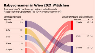 Die Grafik zeigt, aus welchen exakten Schreibweisen sich die Top 10 Vornamen der 2021 in Wien geborenen Mädchen zusammensetzen.