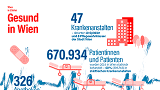 Grafik mit den Eckdaten zur medizinischen Versorgung in Wien