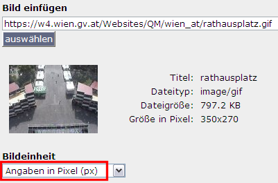 copyright: Stadt Wien Screenshot CMS Eingabemaske Bild