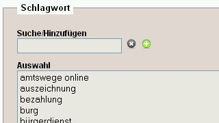 Metadaten-Bereich "Schlagwort"