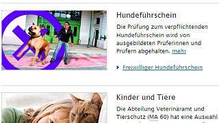 Screenshot von Teaser zum Thema Tiere und Tierschutz
