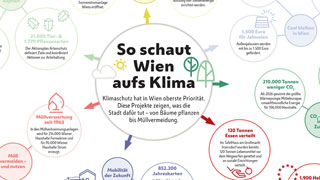 Infografik mit klimafreundlichen Maßnahmen in Wien