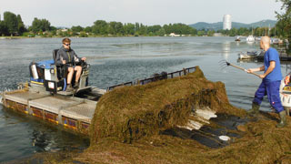 A man takes mown underwater plants from a boat to the shore.