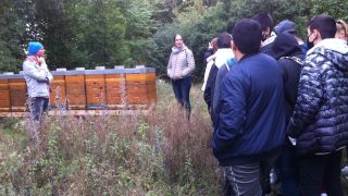 Group of students in front of bee-hives