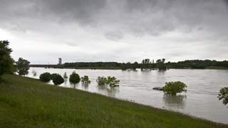 Teilweise überflutete Donauinsel