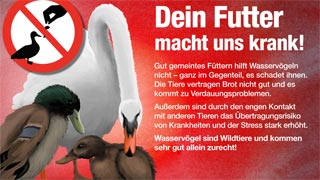Kampagnen-Sujet: Enten, Schwan, darüber Text "Dein Futter macht uns krank!"