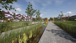 Visualization: Reed beds along a path with apartment bildings in the background