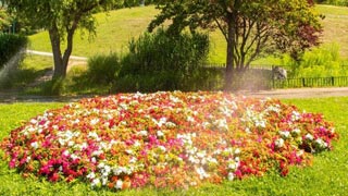 Blumenbeet in einem Park