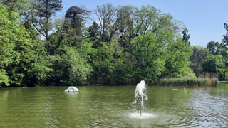 Teich mit einer Wasserfontne in der Mitte