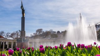 Befreiungsdenkmal und Hochstrahlbrunnen, Tulpenbeet im Vordergrund