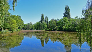 Teich in einem Park
