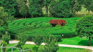 Labyrinth aus Hecken mit Aussichtsplattform