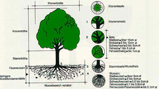 Grafische Darstellung und Begriffsbestimmung Lebensraum