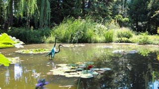Teich in einer Gartenanlage