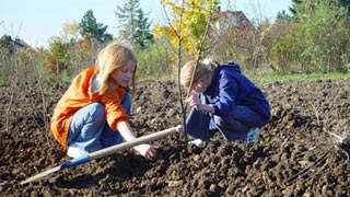 2 Mädchen pflanzen einen Baum.