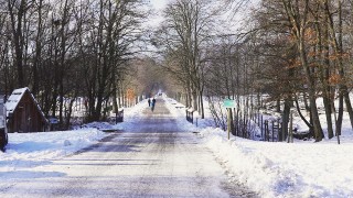Straße mit einzelnen Spaziergängern im winterlichen Lainzer Tiergarten