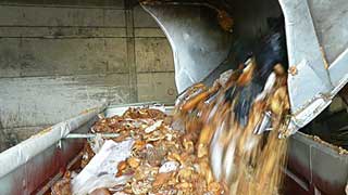 Brotlaibe werden in einem Container entsorgt