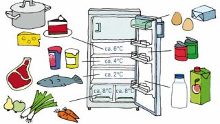 Kühlschrank-Guide; Abbildung, was wohin in den Kühlschrank gehört