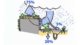 Schematische Darstellung der Regenwasserverdunstung in der Stadt mit Regenwassermanagement: 75% verdunsten
