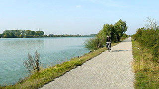 Radfahrer auf dem Radweg entlang der Donau