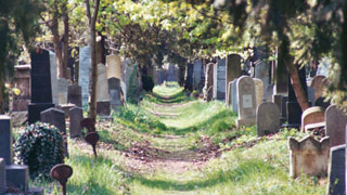 Gang zwischen zwei Grabreihen im Alten Israelitischen Friedhof