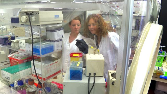 Frauen in der Forschung: Mikrobiologin Christa Schleper