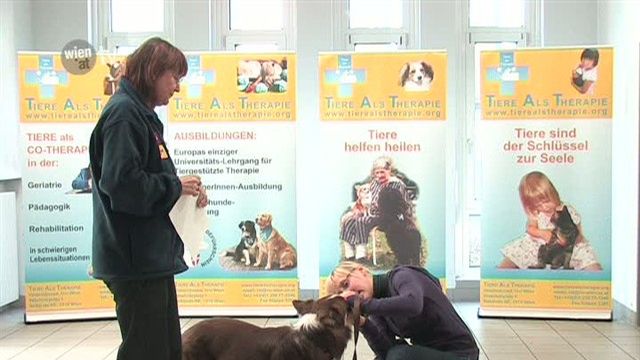 Hundeführschein in Wien ab 1. Juli verpflichtend   - 2010