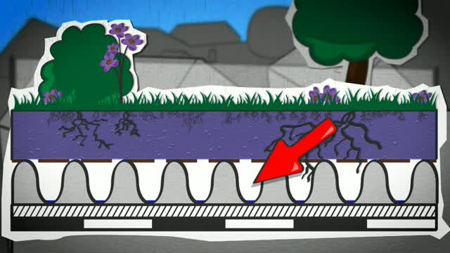 Animation: So funktioniert Regenwassermanagement