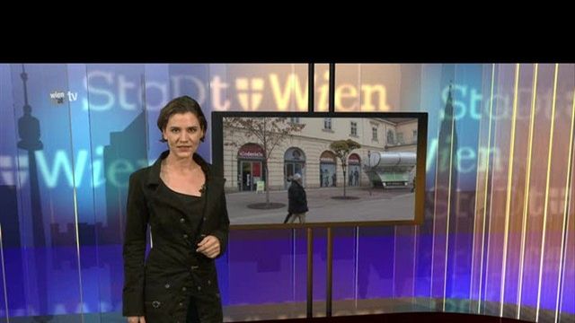 wien.at-TV - Aktuelle Sendung vom 11. November 2011