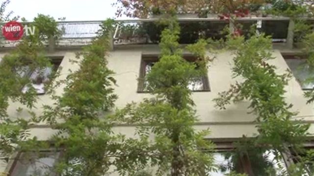 Stadt Wien fördert Fassadenbegrünungen