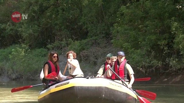 Bootstour im Nationalpark Donau-Auen