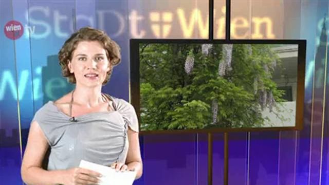wien.at-TV - Aktuelle Sendung vom 23. August 2013