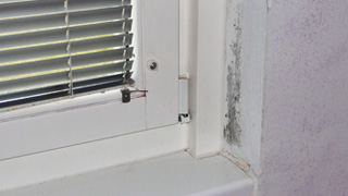 untere Ecke eines Fensters, Schimmelbildung an Teilen der Wand im Bereich der Fensterleibung